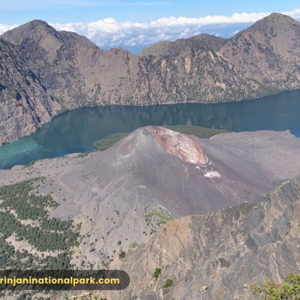 mount rinjani